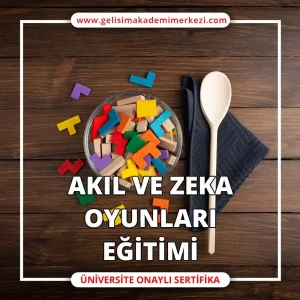 Akıl ve Zeka Oyunları Eğitimi Sertifikası