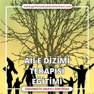 Aile Dizimi Terapisi Eğitimi