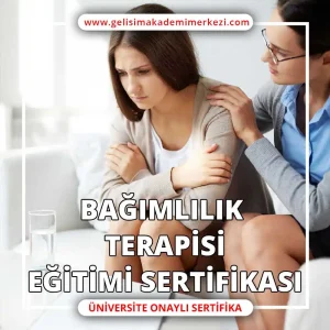 Bağımlılık Terapisi Eğitimi Sertifikası