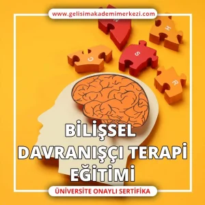 Bilişsel Davranışçı Terapi Eğitimi