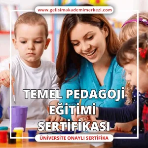 Temel Pedagoji Eğitimi Sertifikası