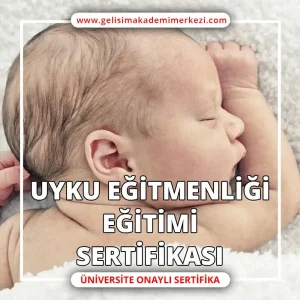 Uyku Eğitmenliği Eğitimi Sertifikası