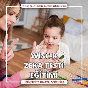 WISC-R Zeka Testi Eğitimi