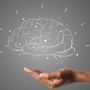 NLP Practitioner Eğitimi Sertifikası