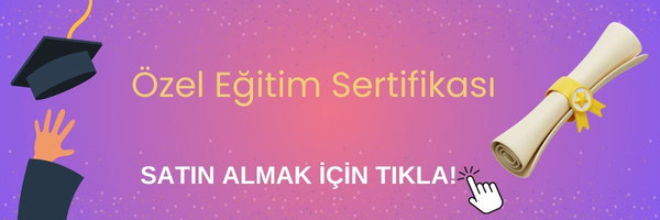 ozel egitim sertifikasi