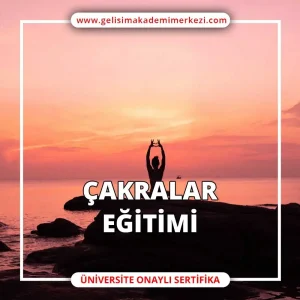 Çakralar Eğitimi