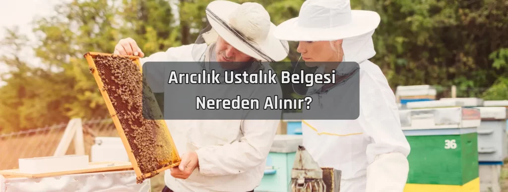 Aricilik Ustalik Belgesi Nereden Alinir
