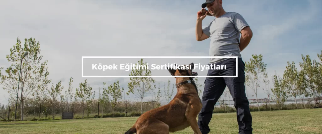 Kopek Egitimi Sertifikasi Fiyatlari