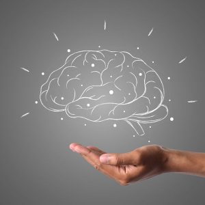Enneagram Uygulayıcı Eğitimi Sertifikası