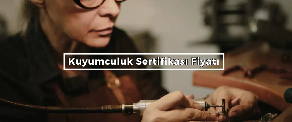 Bordered Sunflower Photo Web Banner 59