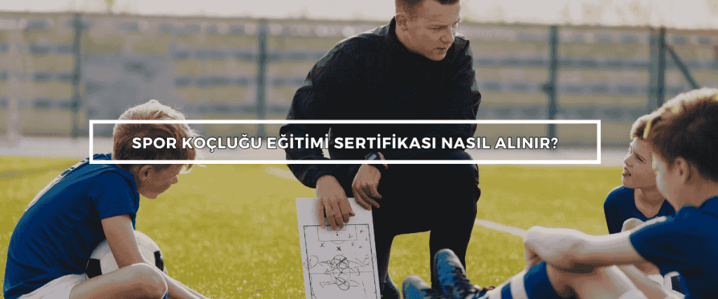 Bordered Sunflower Photo Web Banner 10