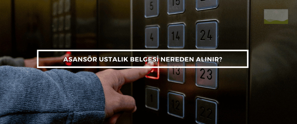 Bordered Sunflower Photo Web Banner 13