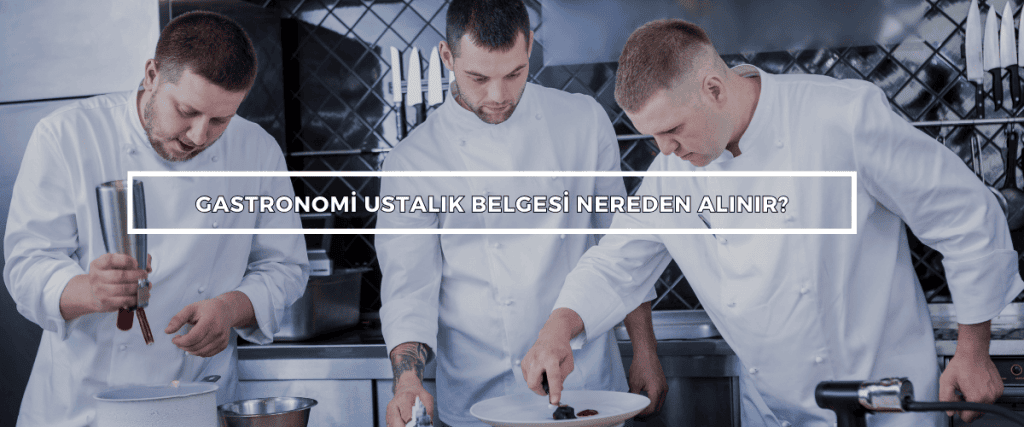 Bordered Sunflower Photo Web Banner 26