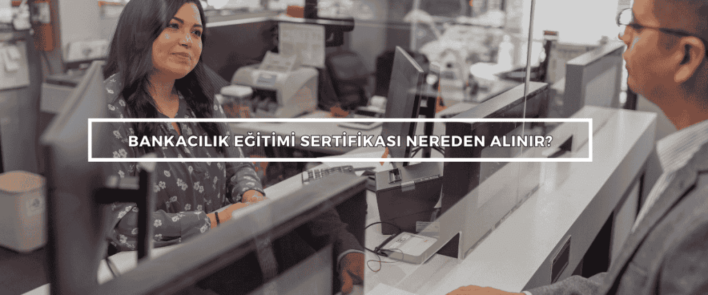 Bordered Sunflower Photo Web Banner 4