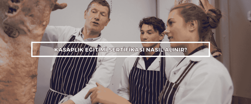 Bordered Sunflower Photo Web Banner 6