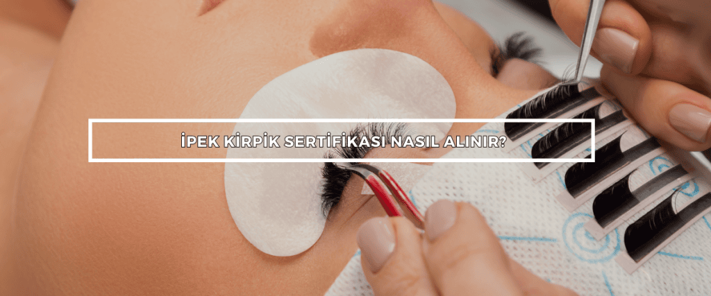 Bordered Sunflower Photo Web Banner 9